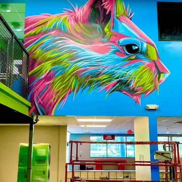 Flying Squirrel Trampoline Park:  Seattle, WA