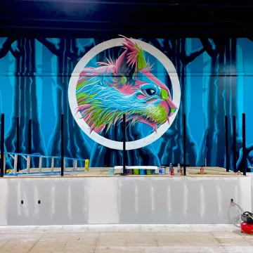 Flying Squirrel Trampoline Park: 
