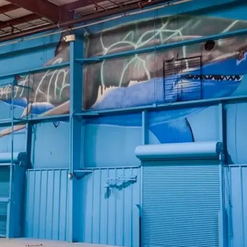 Get Air Trampoline Park: Mobile, AL