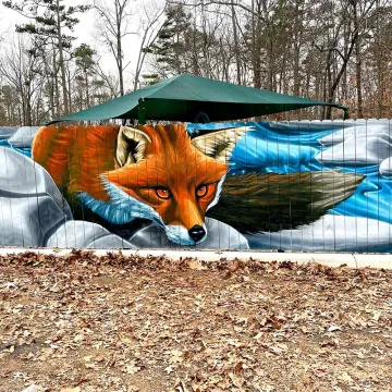 Catawba River Mural: Rock Hill, SC