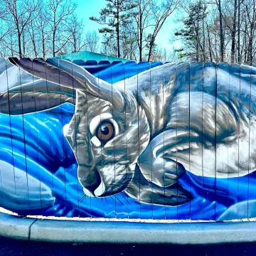 Catawba River Mural: Rock Hill, SC