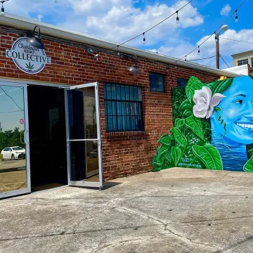Mother Earth Mural in the Vista: Columbia, SC