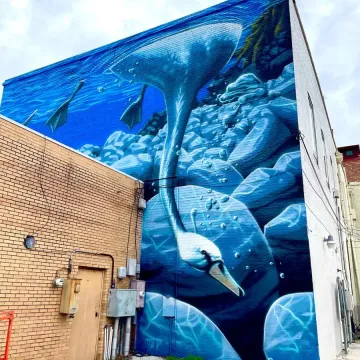 Swan Lake Mural: Sumter, SC